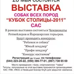 Спешите! Регистрация на выставку до 14 мая. САС