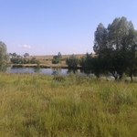 Продам видовой участок в Гостомеле, Буче. под застройку, озеро, лес