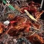 Куплю Медь Киев. О98427О393 лом Алюминия лом Латуни лом Цинка