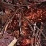 Куплю лом Меди Киев О98427О393 лом Алюминия лом Латуни Свинец!!