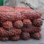 Картофель от производителя 