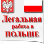 Рабочая виза в Польшу на 180 дней