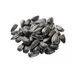 Закупаем семечку подсолнуха