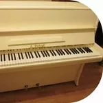 « Елитпиано»  предлагает широкий выбор роялей и пианино