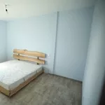 Предлагается одноэтажный дом, в 15 минутах езды от Киева