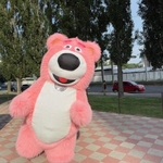 Медведь костюм для рекламы и развлечений