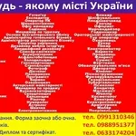 Курси кондитер диплом і сертифікат 