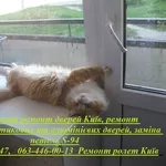 Терміновий ремонт дверей Київ,  ремонт металопластикових та алюмінієвих дверей,  заміна петель S-94