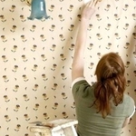 Поклейка шпалер Святошин Білогородка Бузова