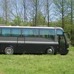 Ищу работу на своем автобусе. Открыта шенгенвиза.