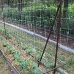 Огуречная сетка шпалерная 1, 7х10м