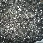 закупаем рапс, сою, подсолнечник