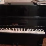 Распродажа прокатного фонда