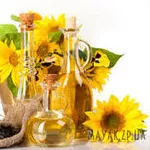 покупаем масличные и зерновые культуры