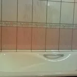 Плиточник,  85 грн./м2
