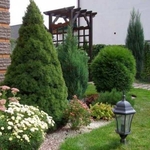 Нужен классный ландшафтный дизайн