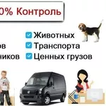 Купить GPS Трекеры от 599 грн,  прослушка звука