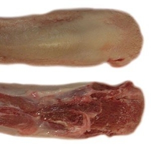 Продаем свиной язык оптом (Германия),  глубокой заморозки,  не обрезной.