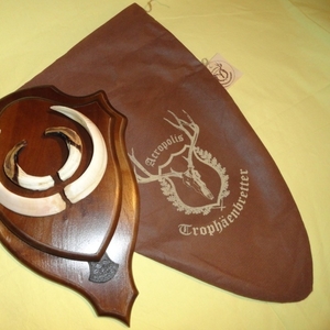 Охотничий VIP-трофей - клыки кабана секача(22х16см) на  медальоне. 