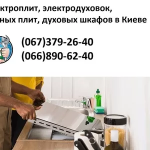 Ремонт электроплит,  электродуховок,  индукционных плит,  духовых шкафов 