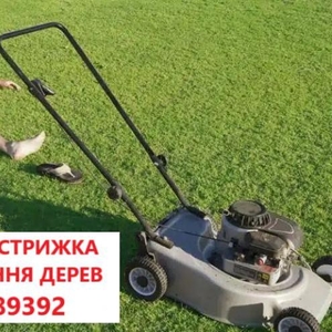 Покіс трави: Київ,  Київська область та Біла Церква. Швидко,  якісно,  доступно!
