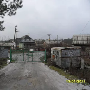 Продам дом с. Новоселки (Вышгородский р-н)
