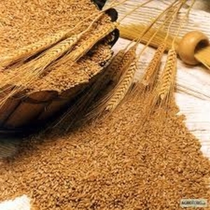 Отруби пшеничные пищевые 