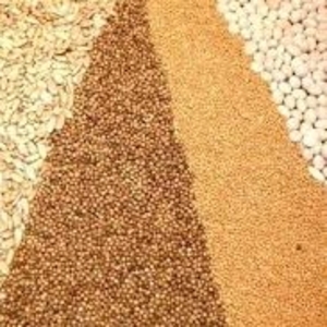 ООО “АГРОСОРТ” продаёт пшеницу 3-го класса от 500 тонн.