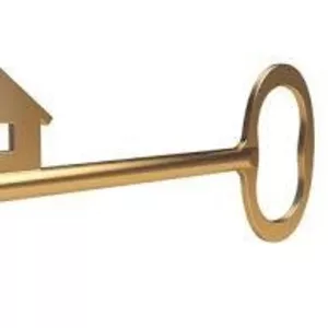 Выполнит ремонт под ключ