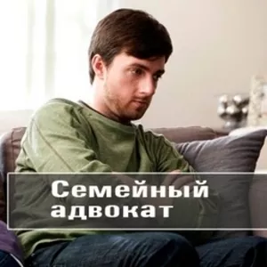 Адвокат по семейным делам - Семейный адвокат - 19 лет опыта