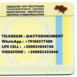 Документы на авто,  техпаспорт,  водительское удостоверение Украина
