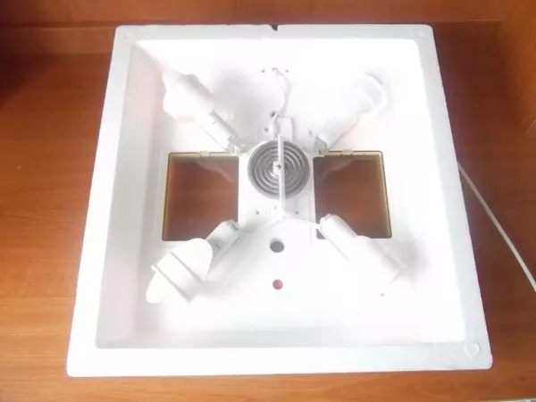 Інкубатори для виведення пташенят 2