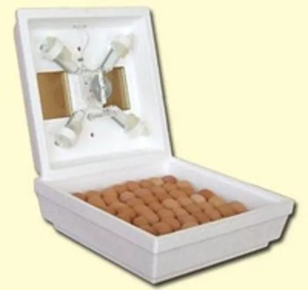 Інкубатори для виведення пташенят 5