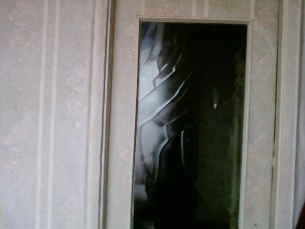 МЕНЯЮ 1квЧЕШКА+16 сот.дачный уч.Запорожье(ОРЕХОВ) на1кв.Киева, Бровары 11