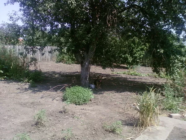 МЕНЯЮ дом+16 сот.дачный уч.Запорожье(ОРЕХОВ) на1(2)кв.Киева, Бровары 11