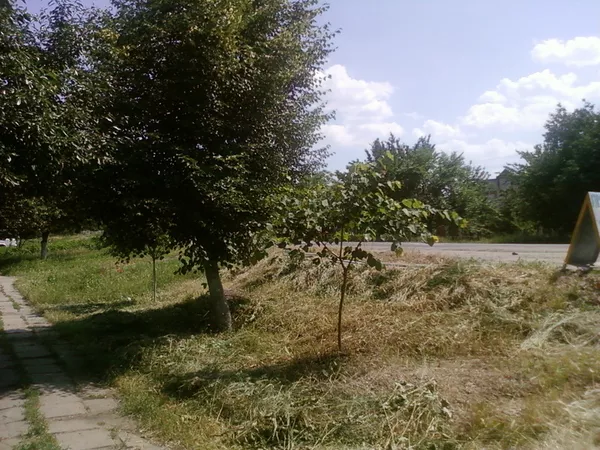 МЕНЯЮ дом+16 сот.дачный уч.Запорожье(ОРЕХОВ) на1(2)кв.Киева, Бровары 15