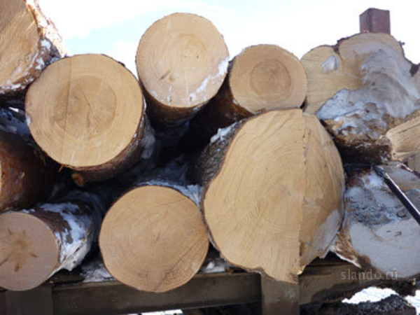 Кругляк мягколиственных пород (липа, осина), II сорт, диаметр от 26, д