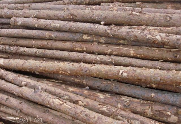 Подтоварник II сорт, диаметр 8-11 мм, длина от 3 м