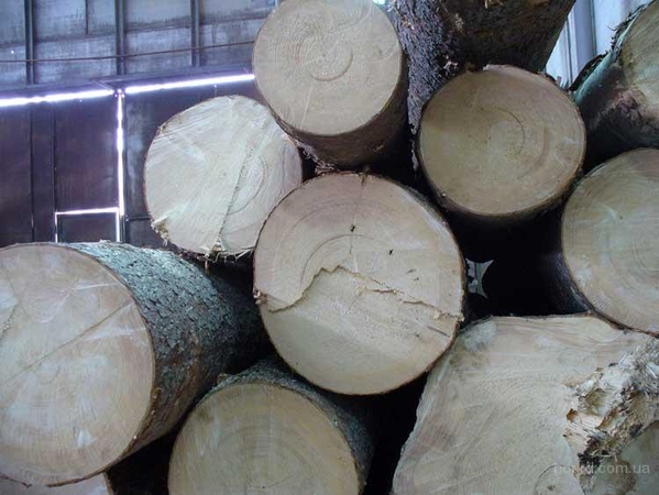 Кругляк твердолиственных пород (дуб, ясень, клен), III сорт, диам. от