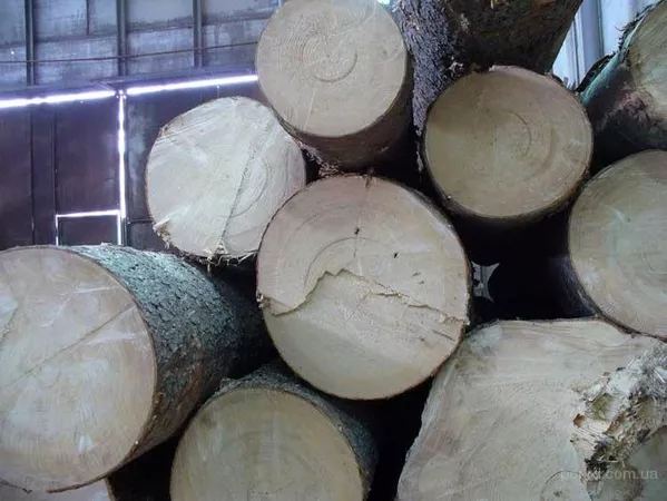 Кругляк твердолиственных пород (дуб, ясень, клен), I сорт, диам. 20-24