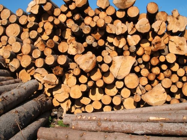 Фансырье, I сорт, диаметр 18-24, длина 1630, 3260, 4890, 6520. ГОСТ 94