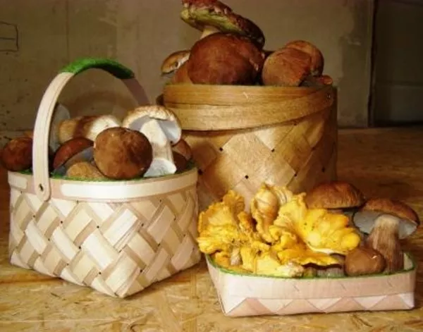 Упаковка для органичеcких продуктов 	 