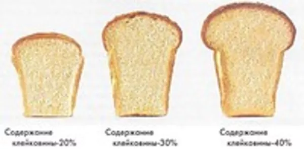 Клейковина пшеничная
