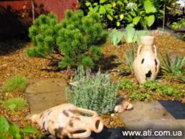 Ландшафтный дизайн вашего участка. Проектирование. Украина 6