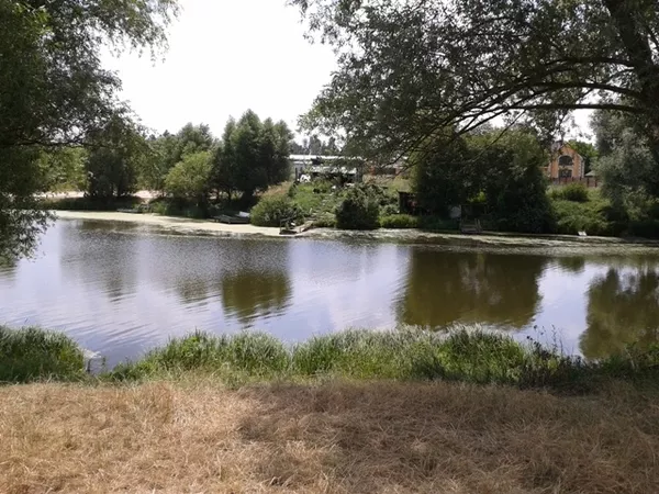 Продам видовой участок в Гостомеле, Буче. под застройку, озеро, лес 3