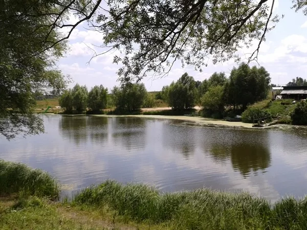 Продам видовой участок в Гостомеле, Буче. под застройку, озеро, лес 4