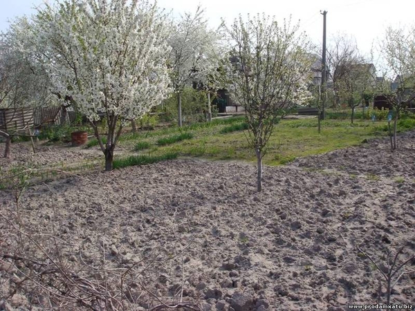 Продам участок в Буче, 6 соток, под застройку