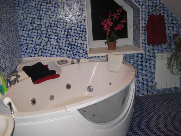 Продажа/аренда элитного коттеджа Конча-Заспа, Киев 4