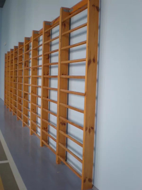 Шведская стенка, спортинвентарь для школ