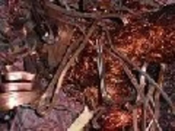 МЕДЬ Куплю лом меди Киев 067-937-81-66 МЕДЬ Куплю лом меди Киев 4